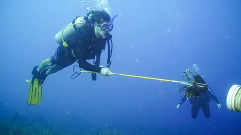 Two scuba divers swimming together in clear blue water